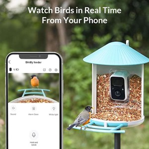 Mangeoire connectée Birdfy
