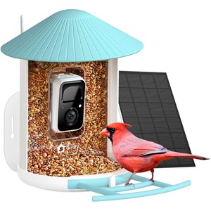 Mangeoire connectée Birdfy
