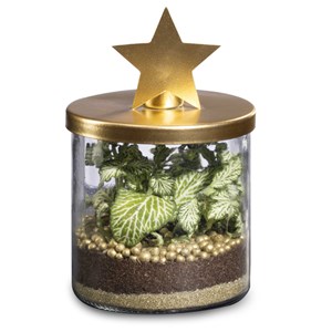 Terrarium bougeoir doré