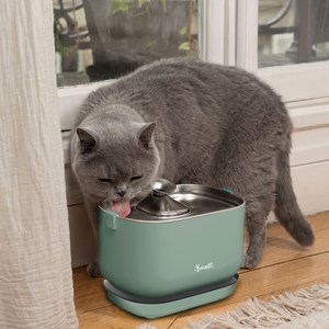 Fontaine à eau pour chat sans fil