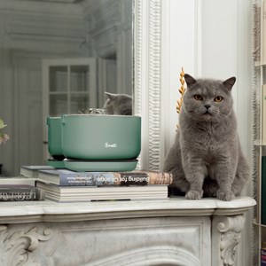 Fontaine à eau pour chat sans fil