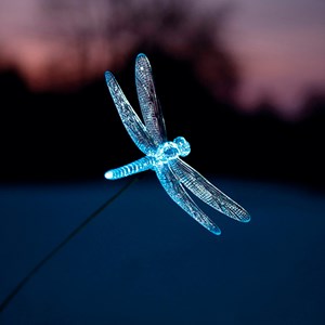 Libellule solaire à planter