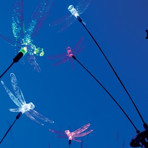 Libellule solaire à planter