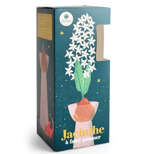 Kit jacinthe à faire pousser