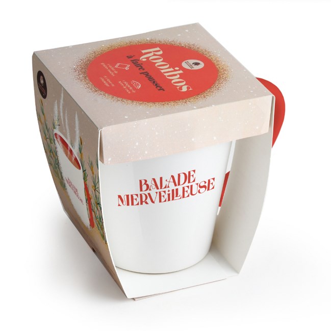 Kit Roiboos à faire pousser