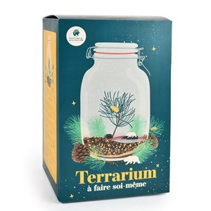 Terrarium forêt magique