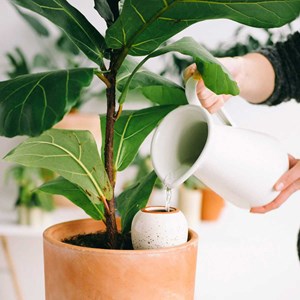 Olla en céramique Pépin Blanc grainé