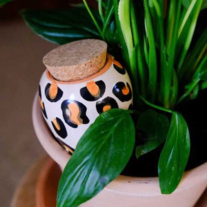 Olla en céramique Pépin Léopard