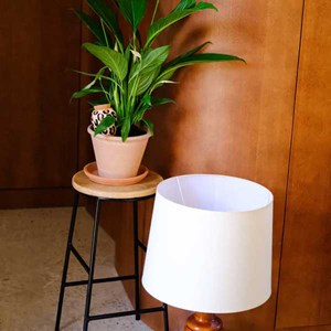 Olla en céramique Pépin Léopard