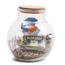 Blobarium : créer un terrarium pour blob