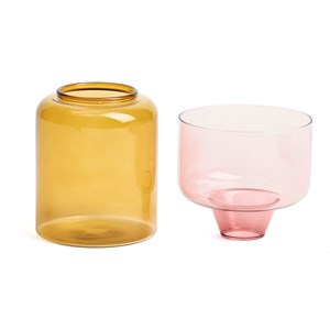 Kit vase de germination spécial noyau d'avocat en verre transparent