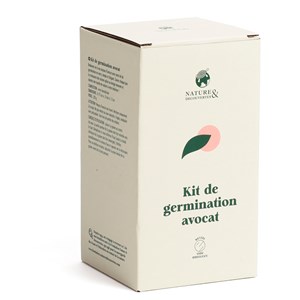 Kit vase de germination spécial noyau d'avocat en verre transparent