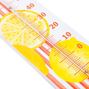 Thermomètre intérieur et extérieur décoratif Dolce Vita édition limitée