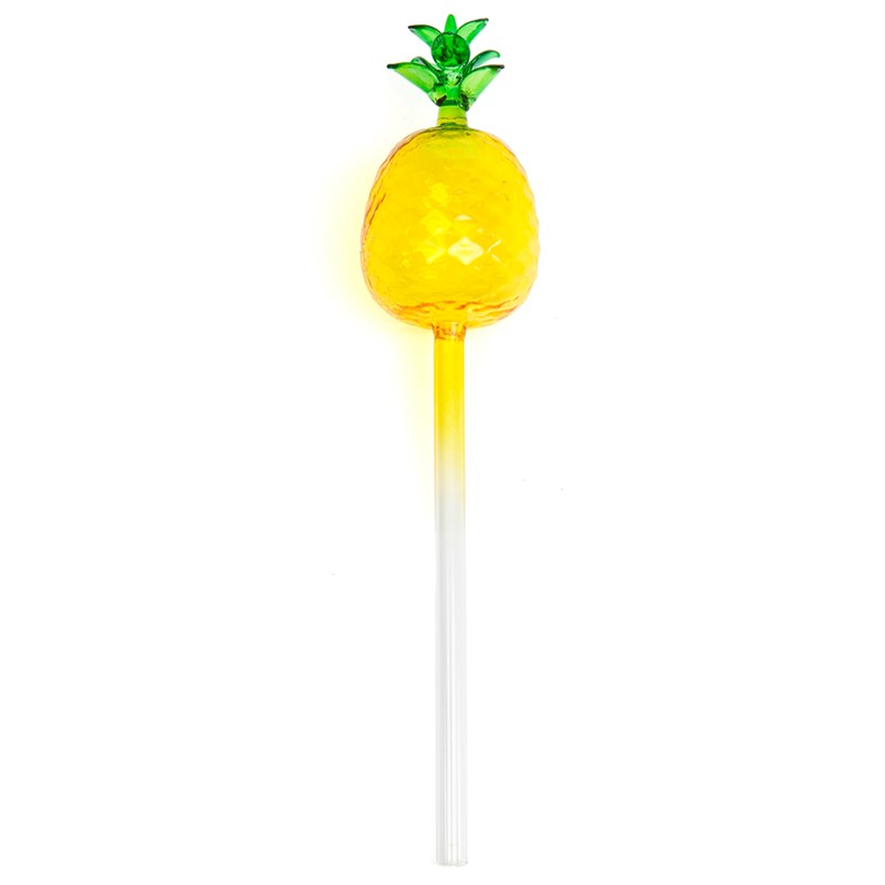 Bulle d'arrosage ananas en verre pour plante en pot