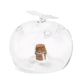 Attrape-mouches des fruits en forme de pomme verre et liège