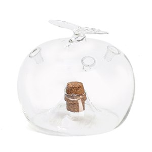 Attrape-mouches des fruits en forme de pomme verre et liège