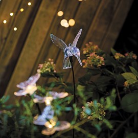 Décoration lumineuse de jardin colibri solaire