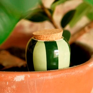 Olla en céramique Pépin Vert et lilas