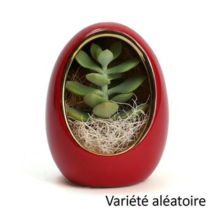 Succulente d'intérieur pot en céramique œuf