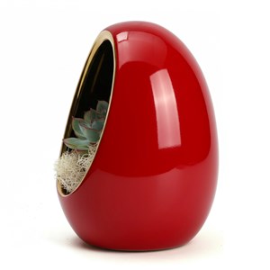 Succulente d'intérieur pot en céramique œuf