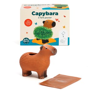 Capybara plante à faire pousser graines de chia Radis et Capucine