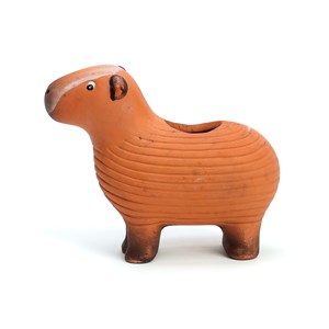 Capybara plante à faire pousser graines de chia Radis et Capucine