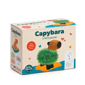 Capybara plante à faire pousser graines de chia Radis et Capucine