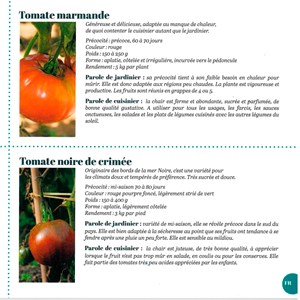 Coffret 52 sachets de graines aromatiques fleurs légumes Radis et Capucine