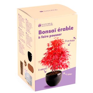 kit de culture complet bonsaï érable rouge Radis et Capucine