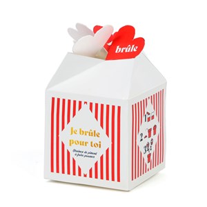 Kit de plantation piment de Cayenne à message "Je brûle pour toi"