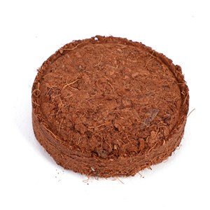 Kit de plantation piment de Cayenne à message "Je brûle pour toi"