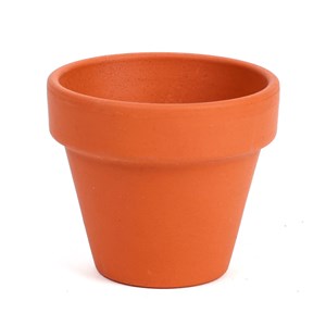 Kit de plantation piment de Cayenne à message "Je brûle pour toi"