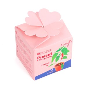 Kit de plantation piment de Cayenne à message "Je brûle pour toi"