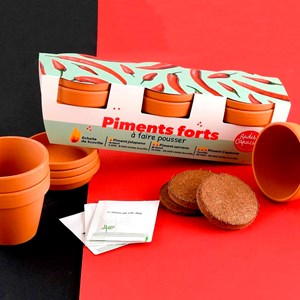 Kit de jardinage 3 pots de piments à faire pousser du doux au plus relevé
