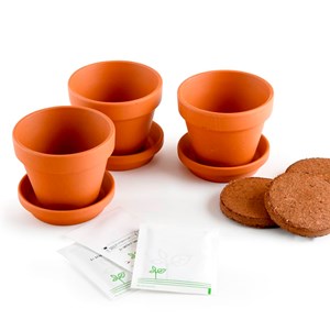 Kit de jardinage 3 pots de piments à faire pousser du doux au plus relevé