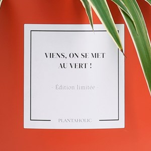 Plante à message "Viens, on se met au vert !" cache-pot céramique