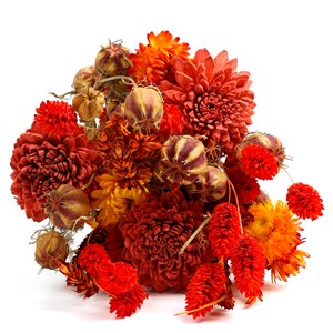 Petit bouquet de fleurs séchées Orange