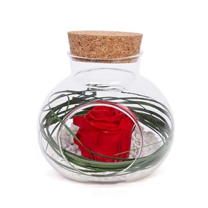 Rose stabilisée composition végétale en bouteille