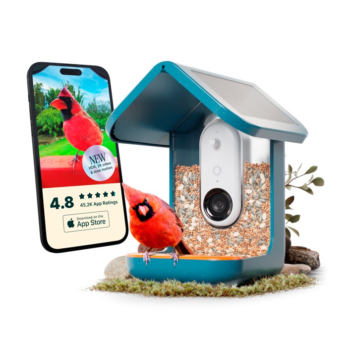 Birdbuddy - Mangeoire pour oiseaux connectée intelligence artificielle caméra HD Birdbuddy