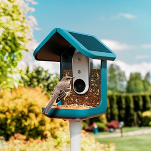 Mangeoire pour oiseaux connectée intelligence artificielle caméra HD Birdbuddy