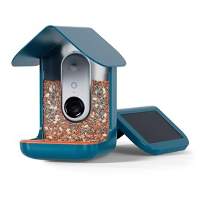 Mangeoire pour oiseaux connectée intelligence artificielle caméra HD Birdbuddy