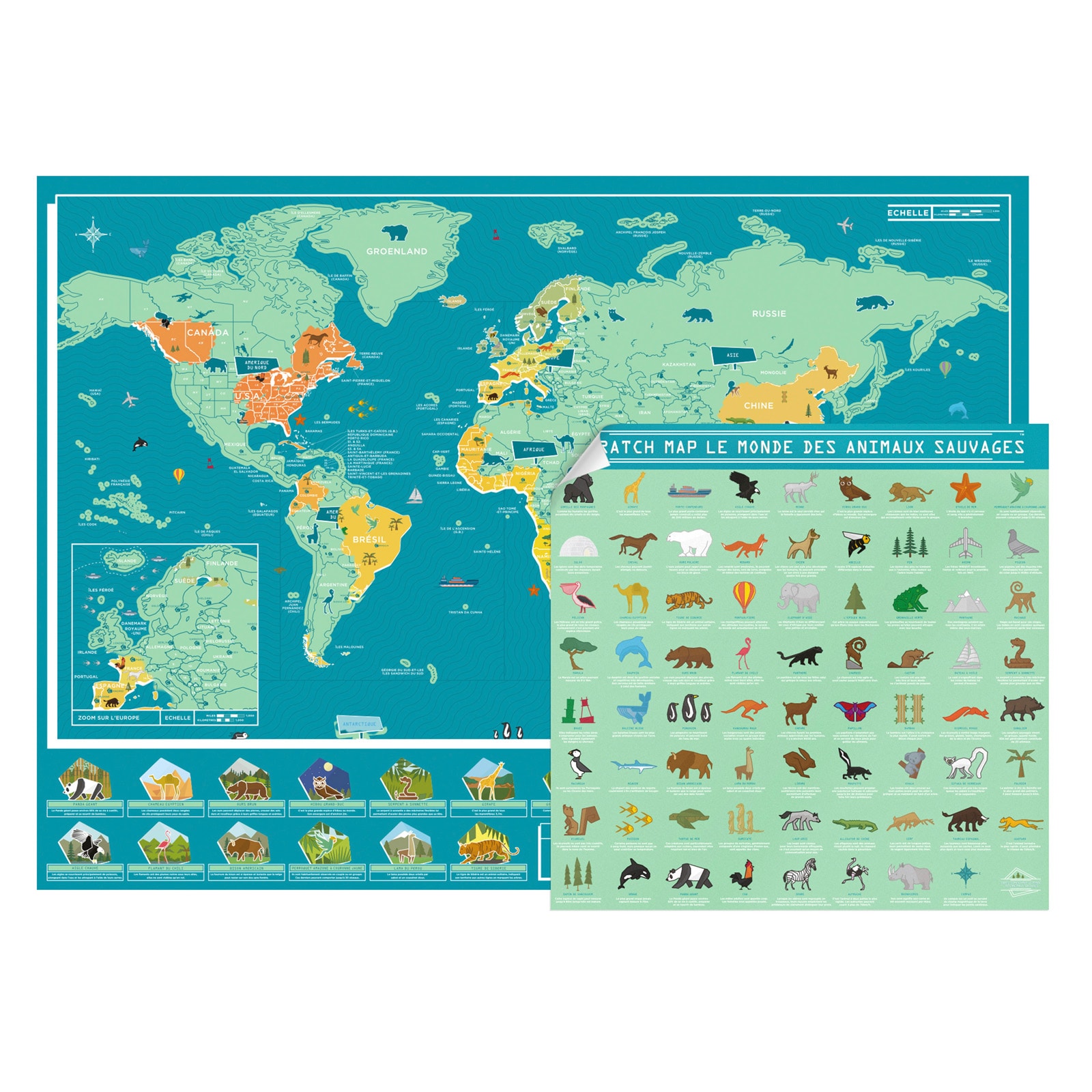 Carte du monde à gratter : À lire avant d'acheter (2024)