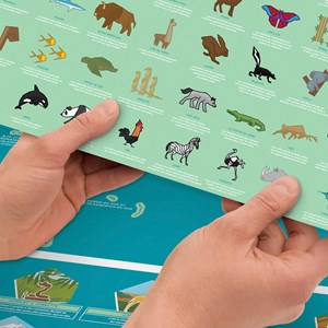 Carte du monde animaux à gratter
