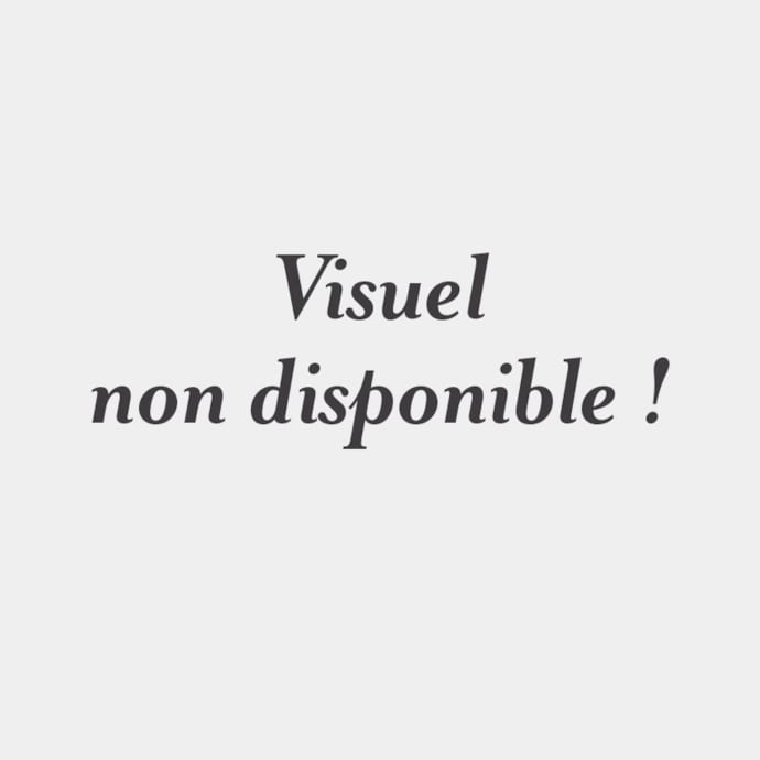 FILTRE A AIR MINI R50 R52 AV 07/04 HORS S ET ONE D