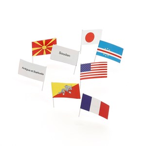 Kit drapeaux du monde