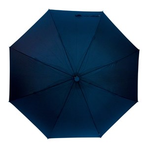 Parapluie canne bois