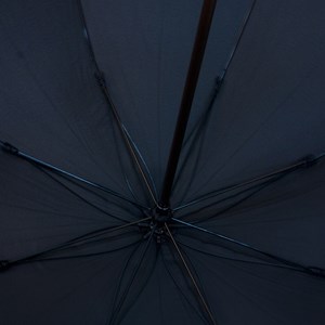 Parapluie canne bois