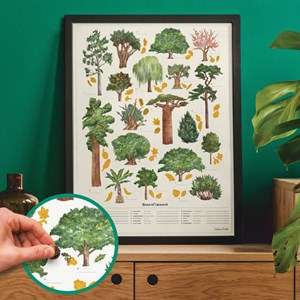 Poster à gratter arbres