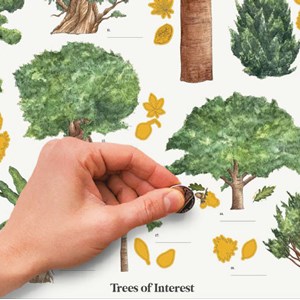 Poster à gratter arbres