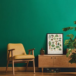 Poster à gratter arbres